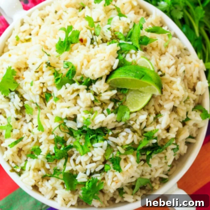 Freshly cooked Cilantro Lime Rice, vibrant green with lime wedges and cilantro sprigs, ready to serve as a delicious side.