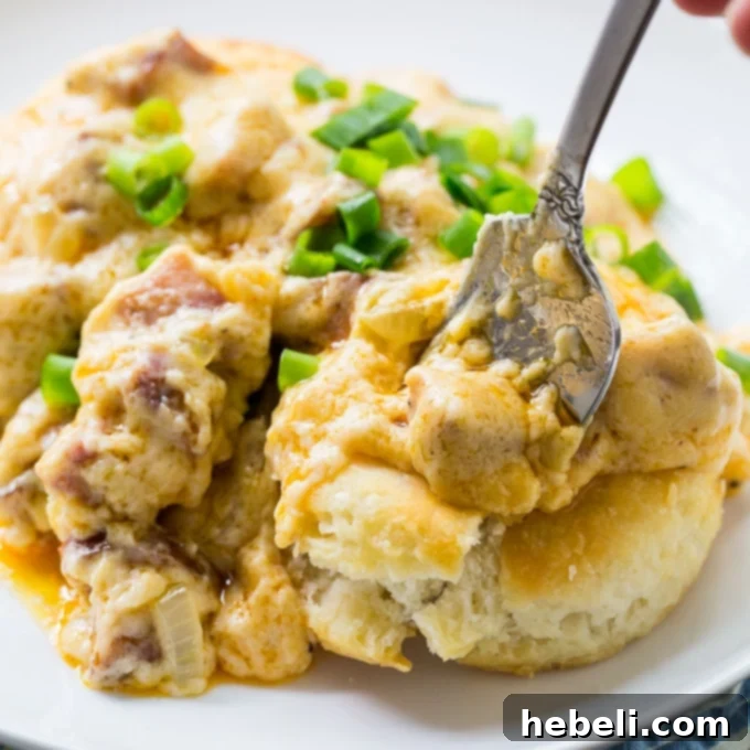Cajun Andouille Gravy 2 Rich and creamy Andouille Sausage Gravy served hot in a skillet, ready to be poured over biscuits.