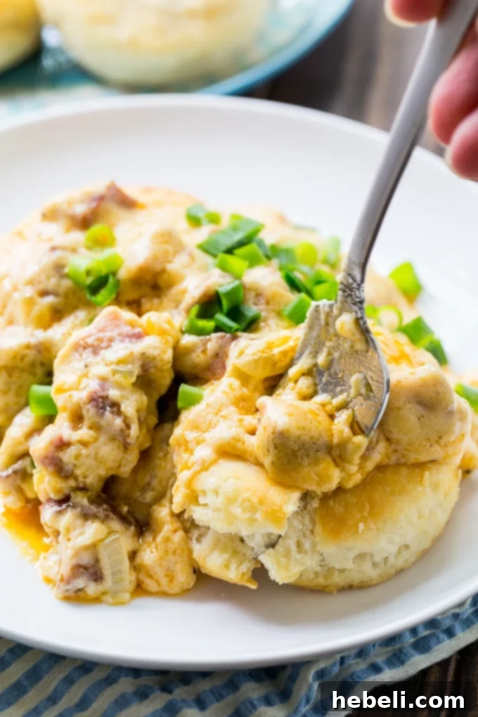 Cajun Andouille Gravy 4 A plate of Sweet Potato Biscuits generously topped with a rich Chorizo Gravy.
