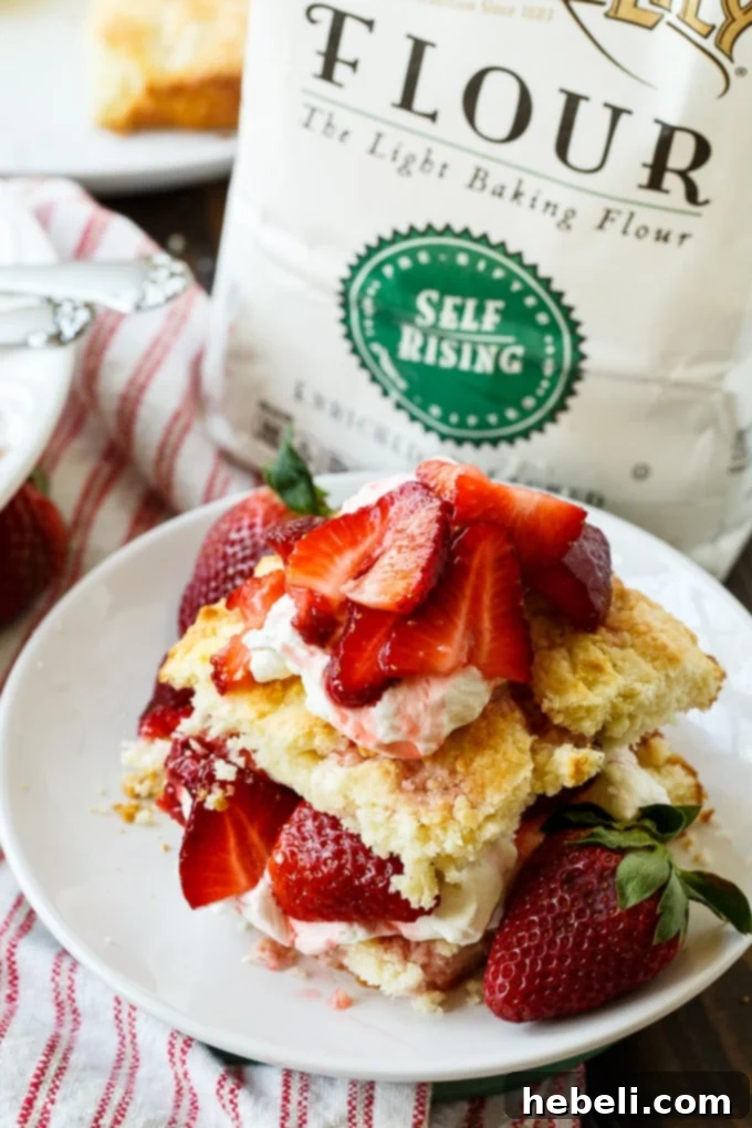 A close-up view of the Easy Strawberry Shortcake, emphasizing its inviting layers and fresh ingredients.