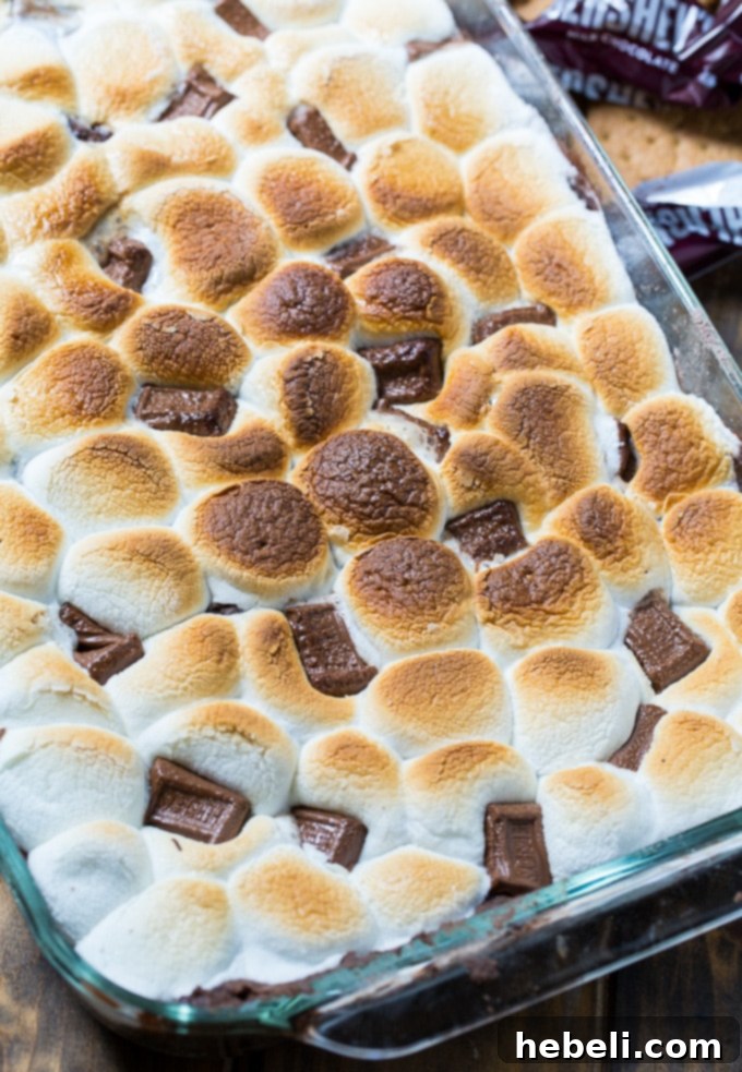S'mores Cobbler 3 Close-up of S'mores Cobbler with a gooey marshmallow topping