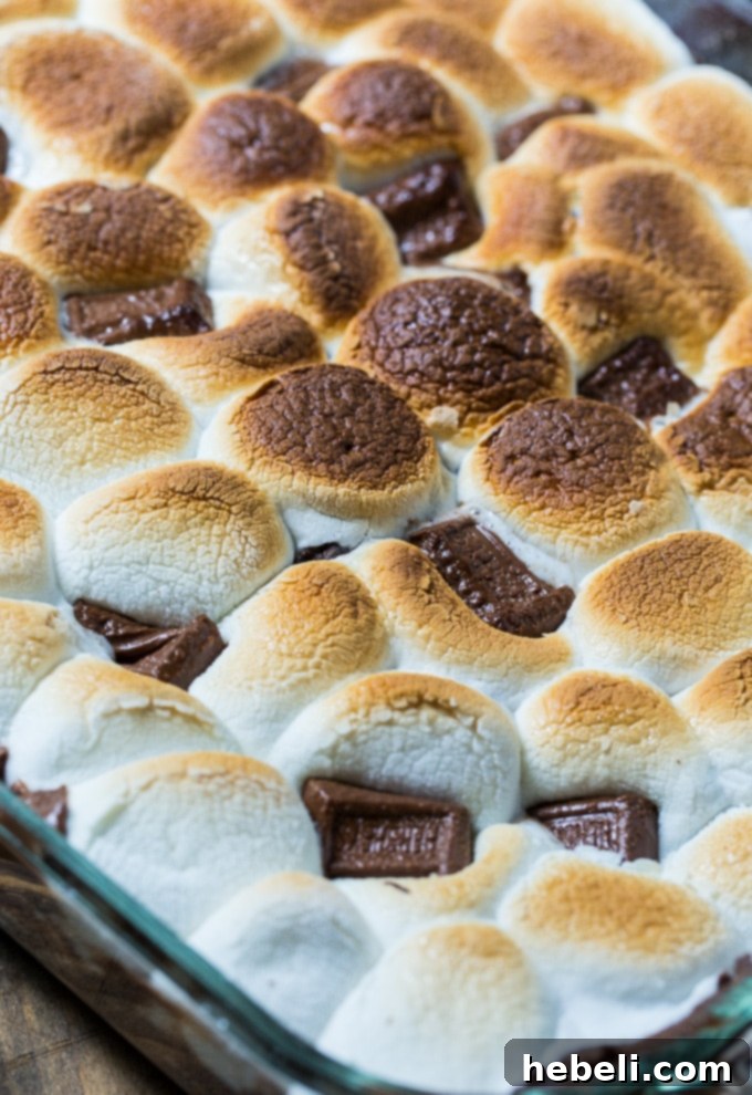 S'mores Cobbler 4 S'mores Cobbler makes a great summer dessert!