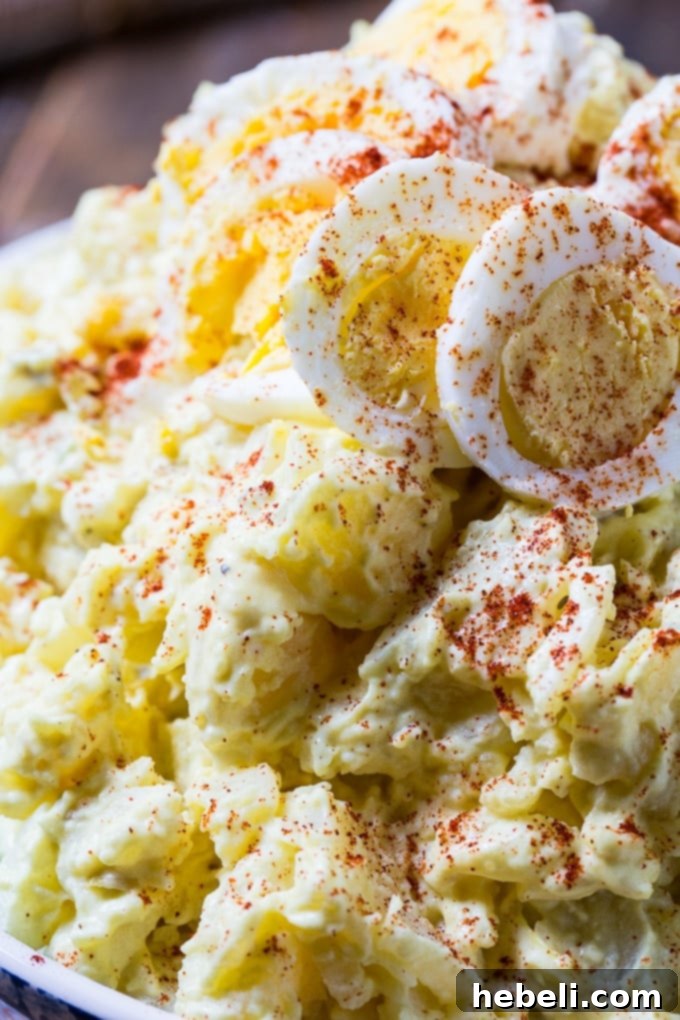 Classic Southern Potato Salad 11 Southern Potato Salad