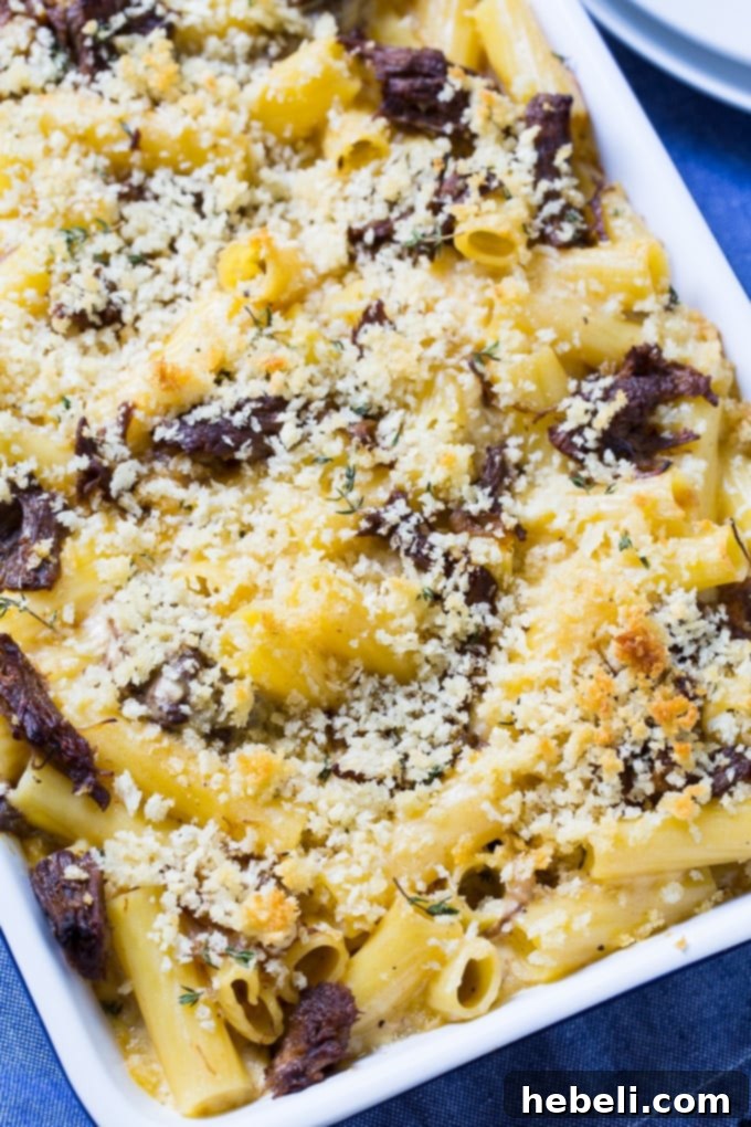 Short Rib Mac and Cheese with Gruyere - The Cheese Blend