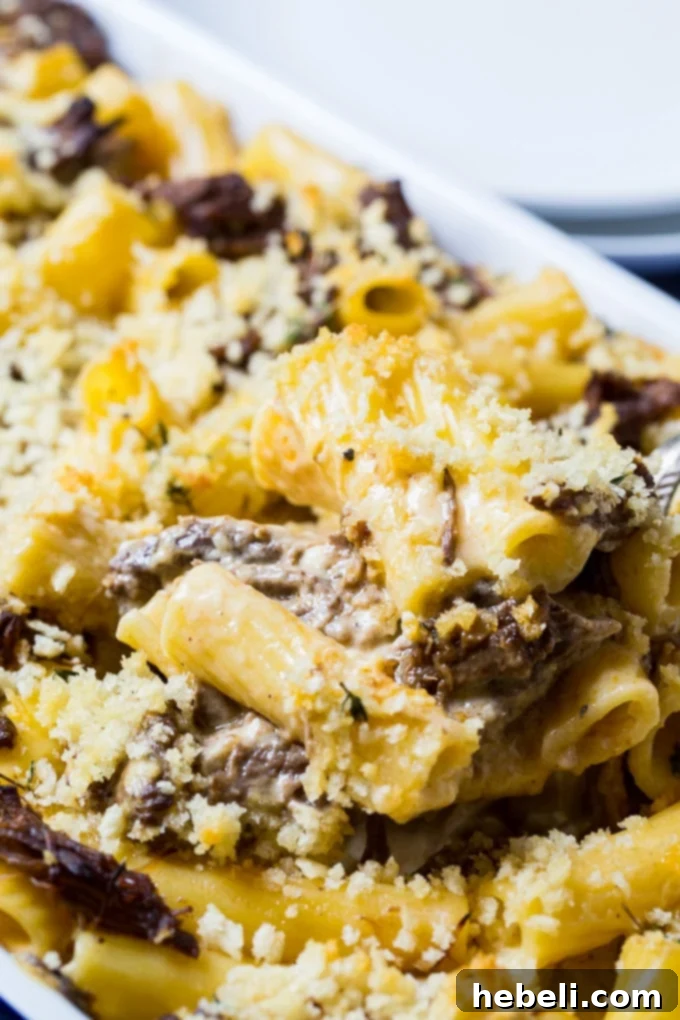 Short Rib Mac and Cheese recipe - Ready to Bake