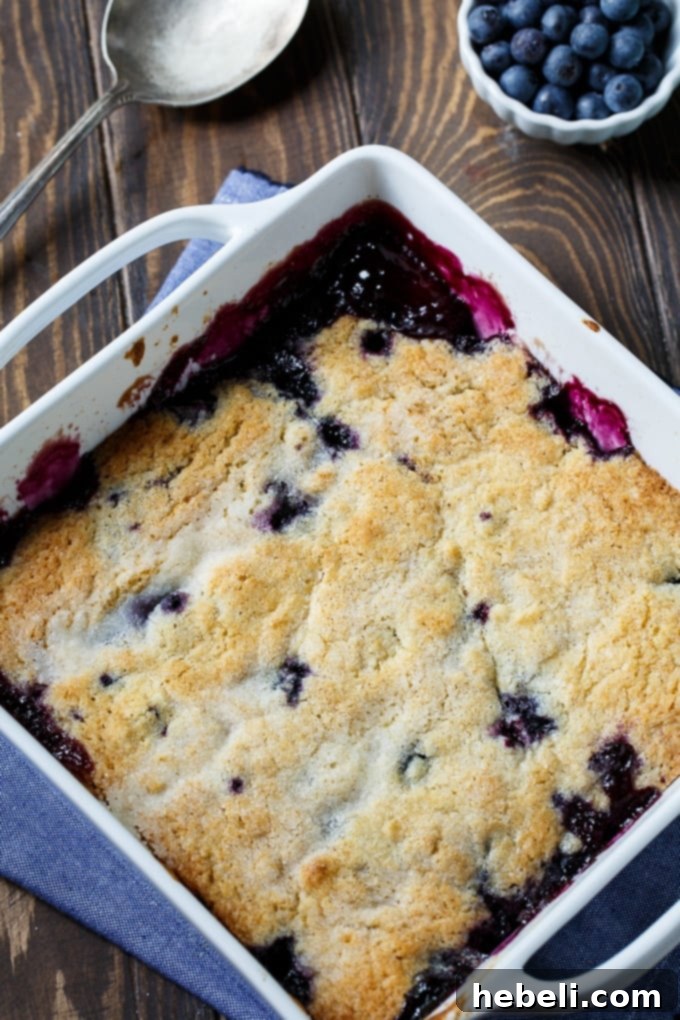 Warm Blueberry Bliss 3 Homemade Blueberry Cobbler made from scratch with fresh berries