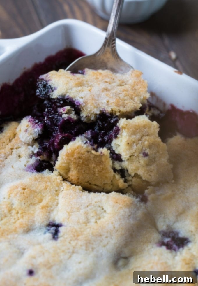 Warm Blueberry Bliss 4 Easy Blueberry Cobbler, a simple homemade summer dessert