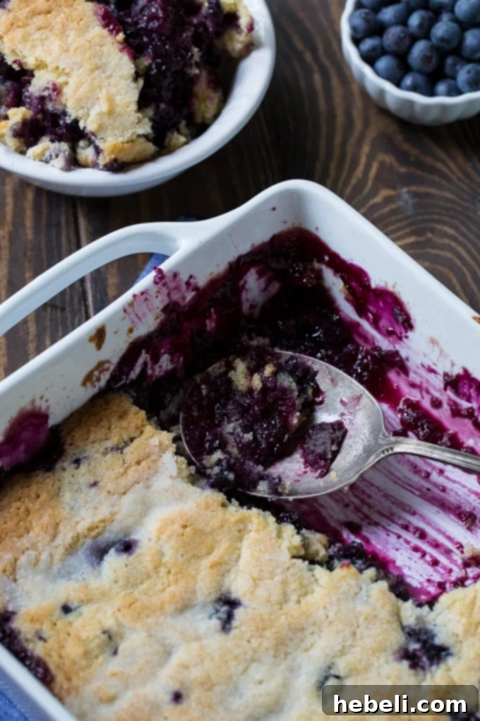 Warm Blueberry Bliss 5 Easy homemade Blueberry Cobbler in a baking dish, golden crust