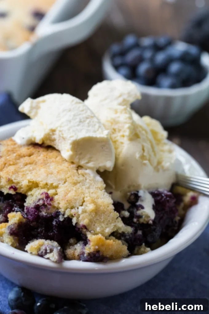 Warm Blueberry Bliss 6 Blueberry Cobbler with a scoop of melting vanilla ice cream