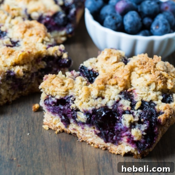 Close-up of freshly baked Blueberry Bars, showcasing the golden crumb topping and juicy blueberry filling.