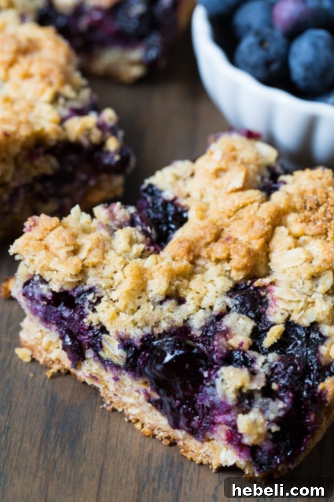 An overhead shot of Blueberry Bars, emphasizing the rustic oat topping and the deep purple hue of the baked blueberries.