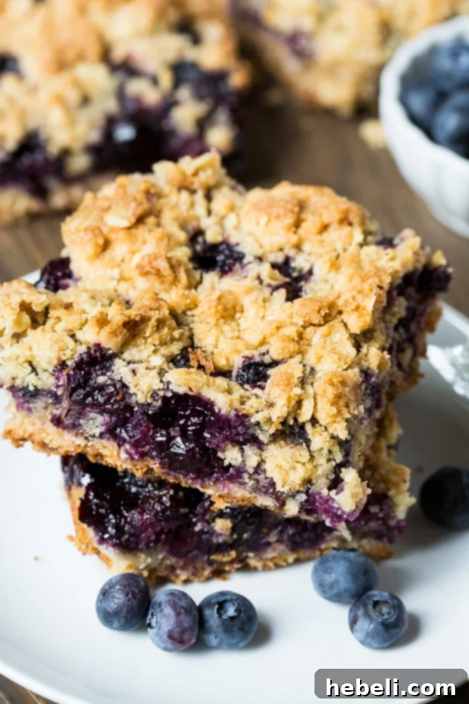 A serving of freshly cut Blueberry Bars on a plate, ready to be enjoyed.