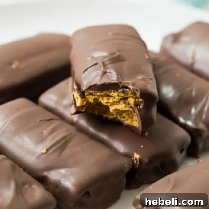 Decadent Chocolate Peanut Butter Graham Bites 2 Delicious Chocolate Peanut Butter Grahams on a white platter, ready to be enjoyed.