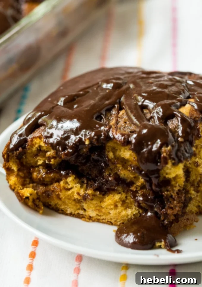 Golden Butterscotch Swirl Cake 5 Butterscotch Marble Cake with chocolate glaze, showcasing its shiny, smooth topping.