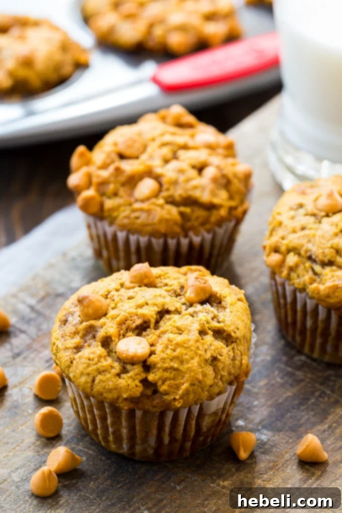 A close-up of a single Pumpkin Butterscotch Muffin, perfectly baked and ready to eat.