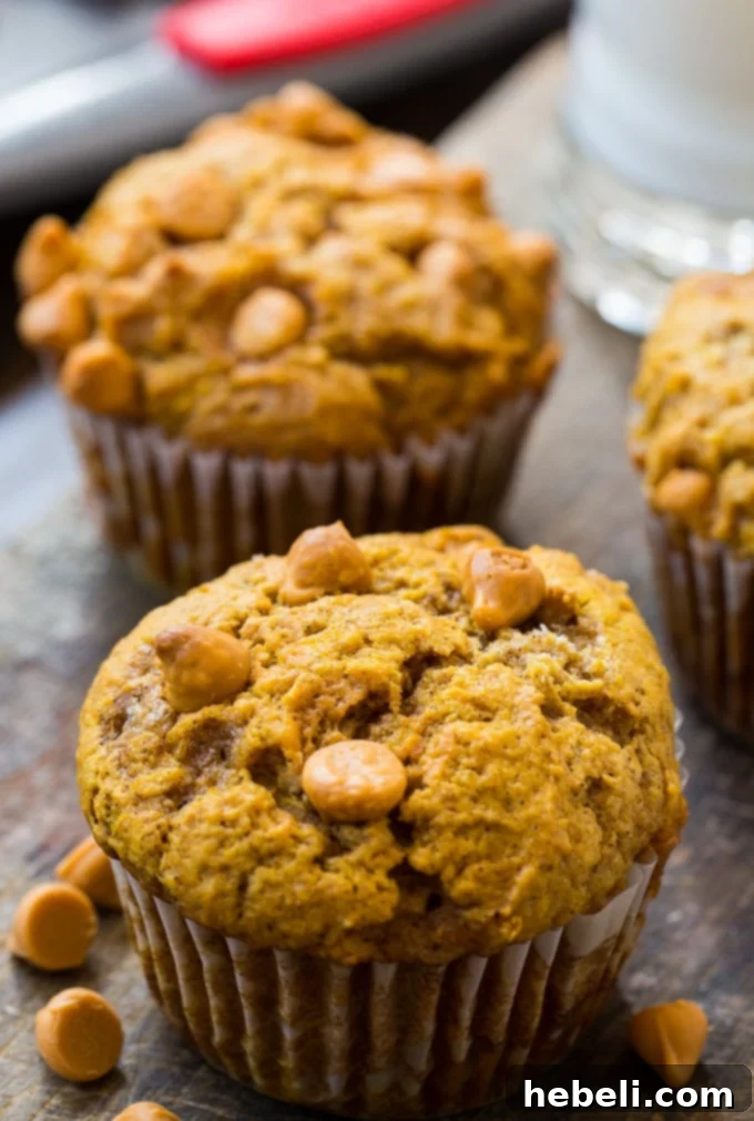 Freshly baked homemade Pumpkin Butterscotch Muffins arranged beautifully for serving.