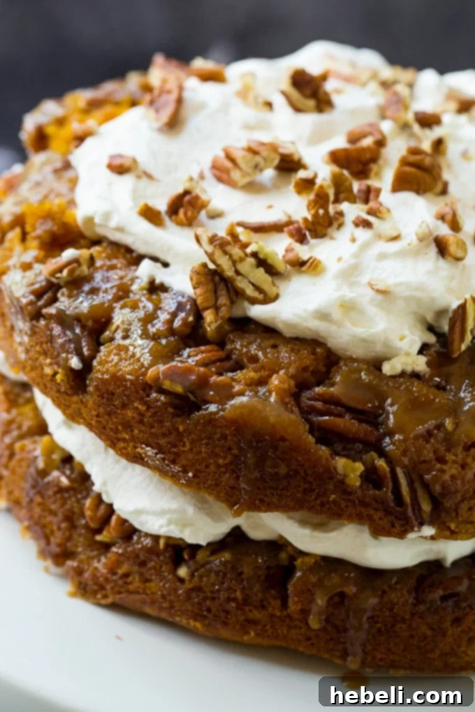 Decadent Pumpkin Praline Torte 3 A slice of Praline Pumpkin Torte, showing the distinct layers of cake, praline, and whipped cream.