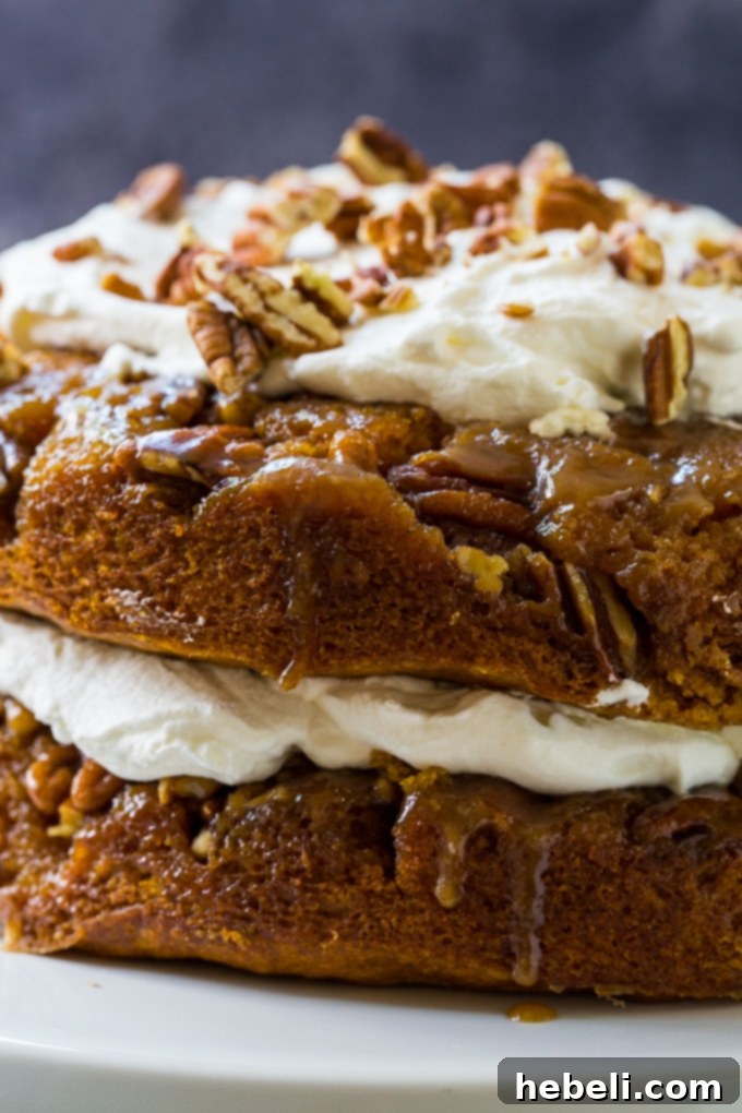 Decadent Pumpkin Praline Torte 4 A vibrant close-up of an Easy Praline Pumpkin Cake, highlighting its rich color and inviting texture.