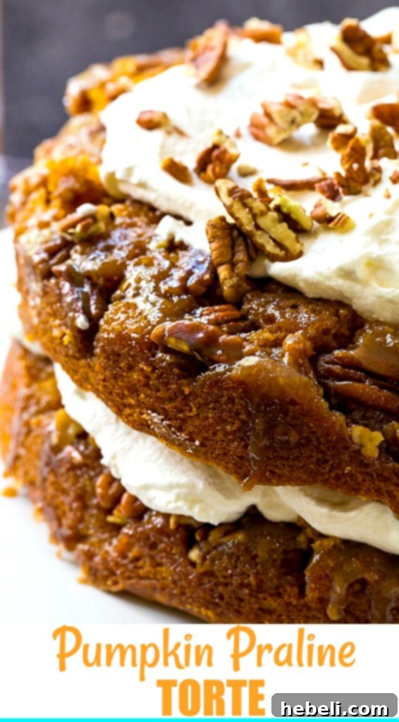 Decadent Pumpkin Praline Torte 6 Close-up of a slice of Pumpkin Cake covered with pecans and a drizzle of praline.