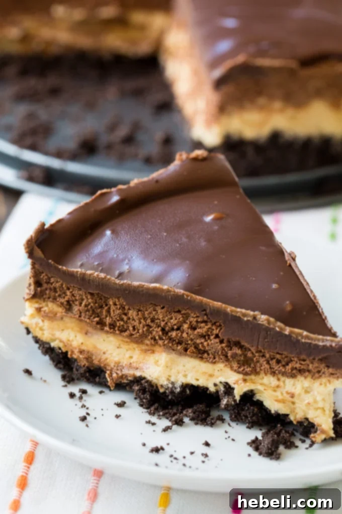 Another view of the Chocolate and Peanut Butter Mousse Cheesecake, highlighting its elegant presentation.