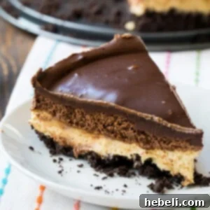 Chocolate and Peanut Butter Mousse Cheesecake