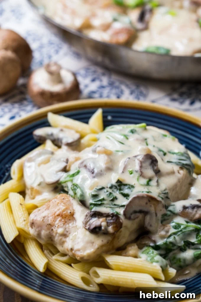 A beautifully plated dish of Creamy Parmesan Pork Chops, garnished and ready for a satisfying family dinner or a cozy meal for one.