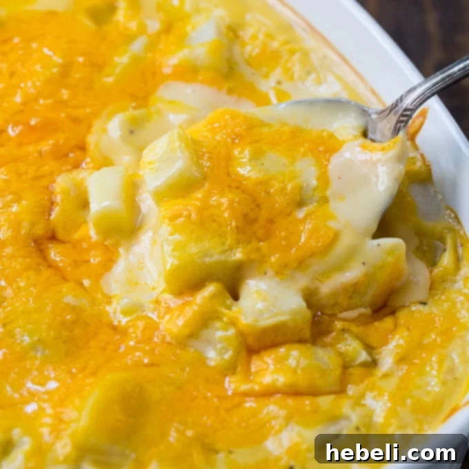 Hearty Potato Gratin 2 Cheesy Potatoes with golden cheese sauce