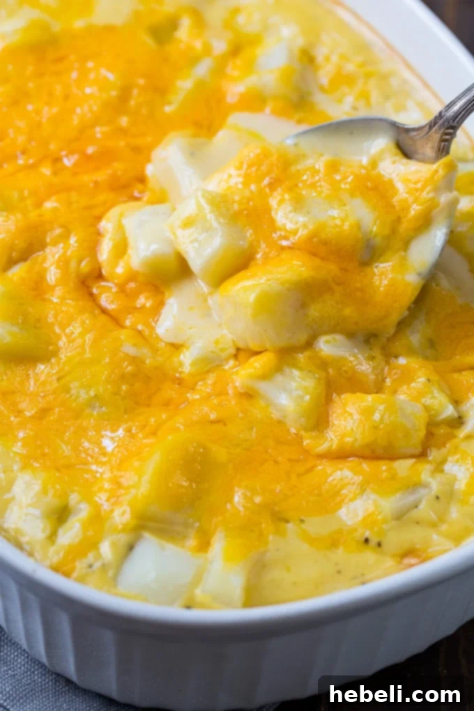 Hearty Potato Gratin 3 Cheesy Potatoes recipe in a baking dish