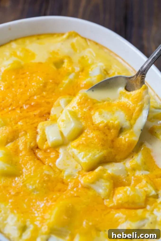 Hearty Potato Gratin 4 Cheesy Potatoes made with Velveeta cheese in a serving dish
