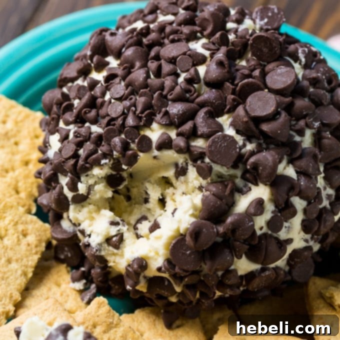 Delicious Chocolate Chip Cheese Ball on a serving plate, ready for guests with dippers like graham crackers.