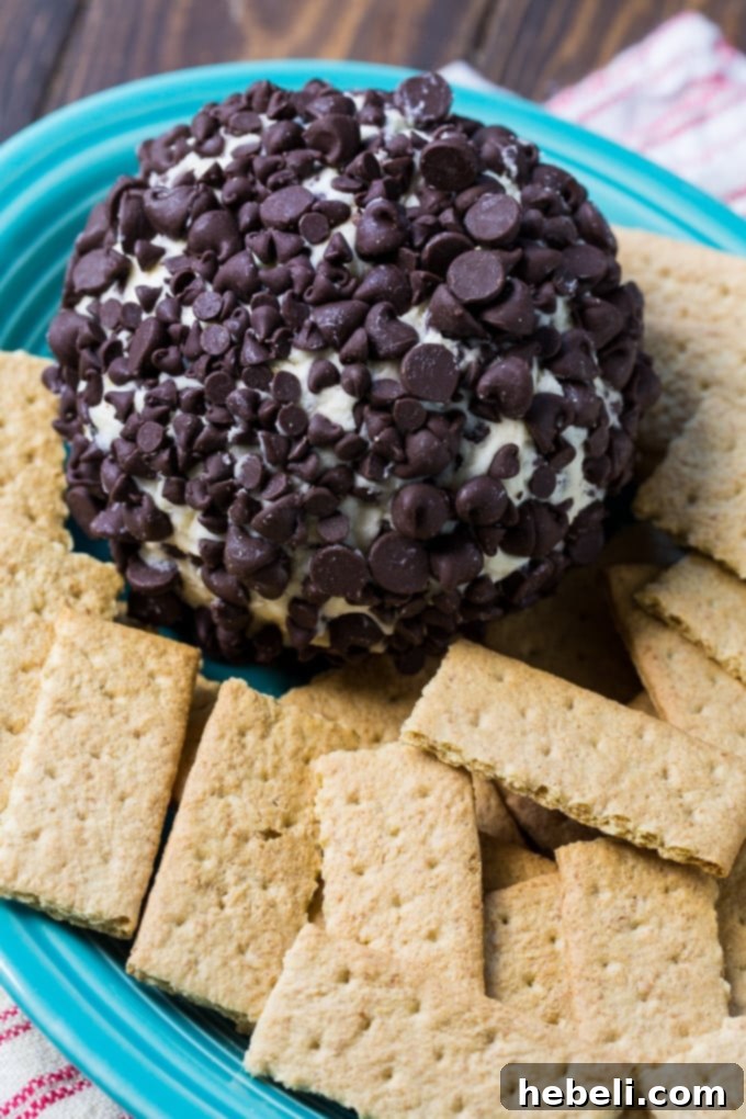 Chocolate Chip Cheese Ball served on a party tray with graham crackers, an ideal sweet appetizer.