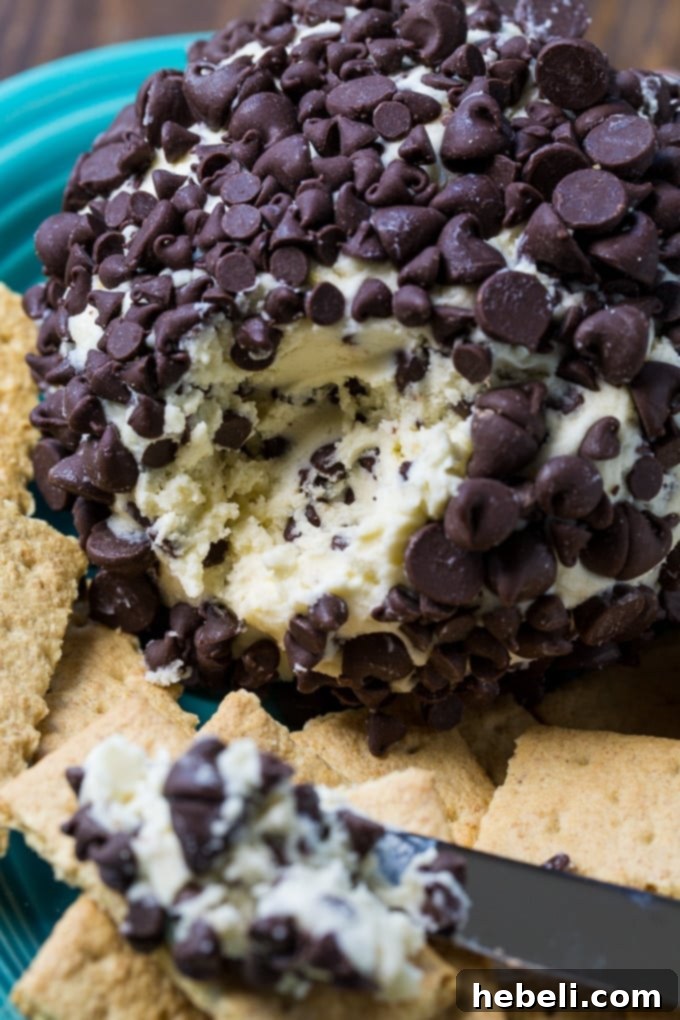 Close-up of a Chocolate Chip Cheese Ball, showing its creamy texture and chocolate chip coating, ready for dipping.