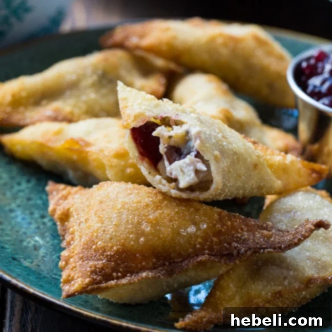 Holiday Harvest Wontons 2 Thanksgiving Wontons made from Thanksgiving leftovers - crispy and golden
