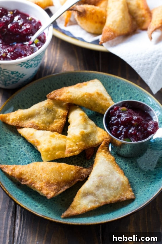 Holiday Harvest Wontons 3 Thanksgiving Wontons made from leftover turkey and cranberry sauce filling