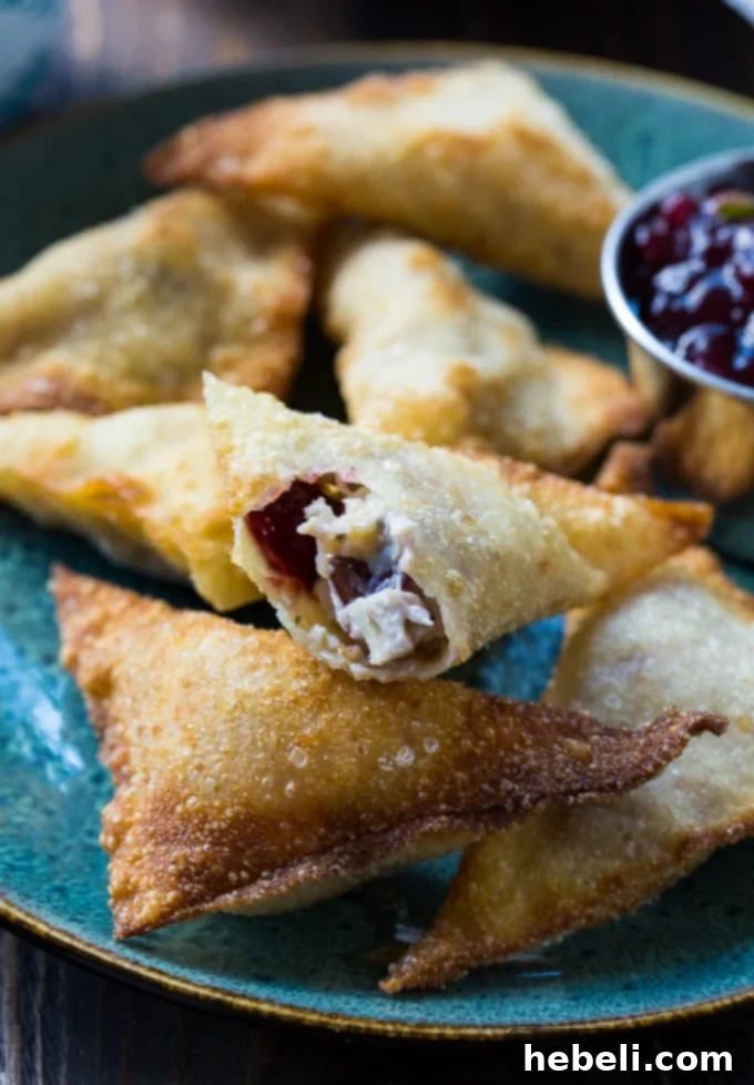 Holiday Harvest Wontons 4 Thanksgiving Wontons stuffed with leftover turkey and cranberry sauce, ready for frying