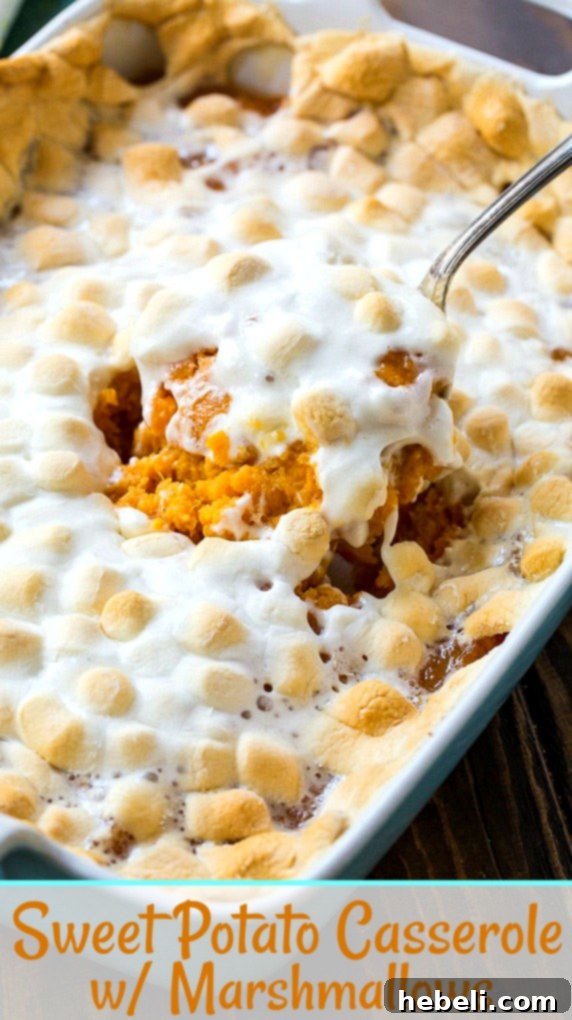 A delicious serving of Sweet Potato Casserole with Marshmallows, showcasing the rich texture and golden topping, perfect for holiday meals.