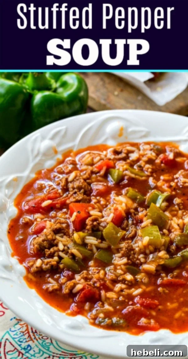 A bowl of Stuffed Pepper Soup garnished with fresh herbs, ready to be enjoyed.