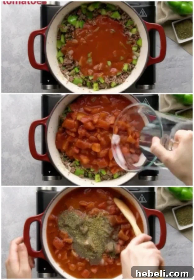 Tomatoes, water, beef bouillon cubes, brown sugar, and dried herbs added to the soup base.