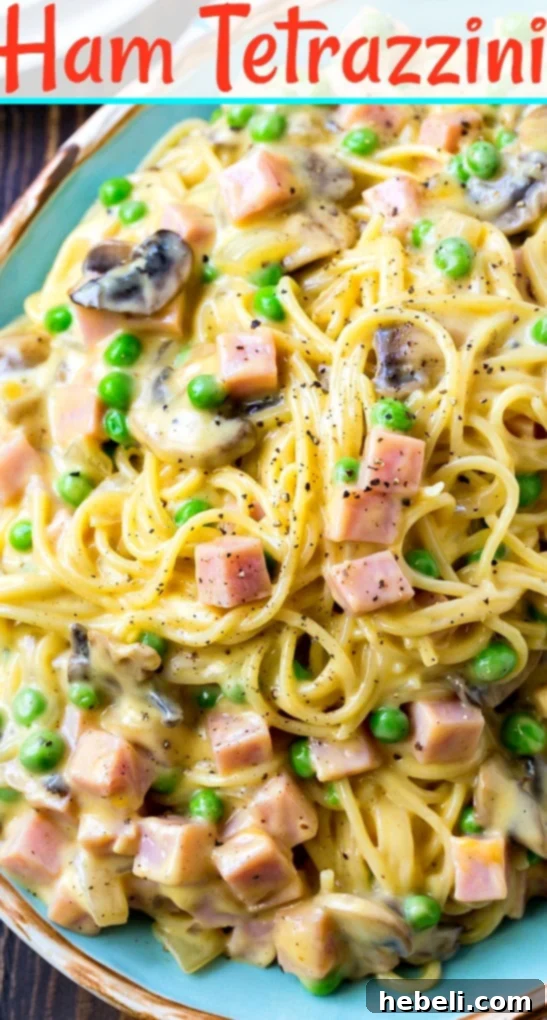 A close-up shot of a single serving of Ham Tetrazzini on a plate, beautifully garnished with fresh green herbs, emphasizing its creamy texture and rich ingredients.