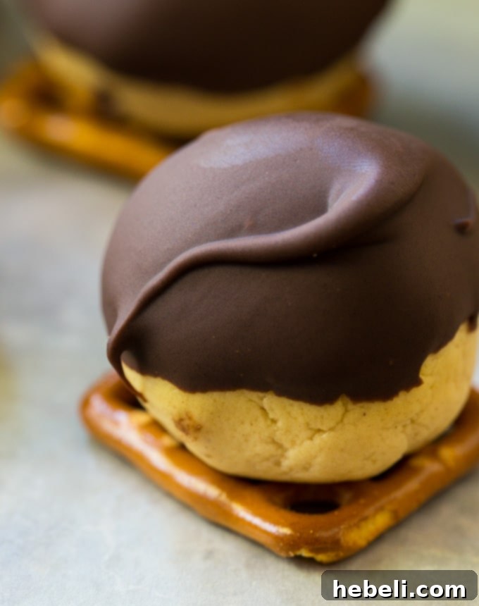 Buckeye Peanut Butter Pretzel Crunch 5 A beautifully arranged plate of freshly made Buckeye Pretzel Bites, garnished and ready to be enjoyed
