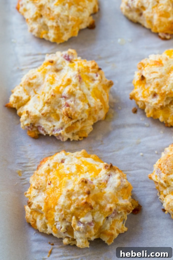 Buttery Ham and Cheddar Biscuits 3 Easy Ham and Cheese Biscuits made with bits of ham and shredded cheddar baked right in, arranged on a cooling rack.