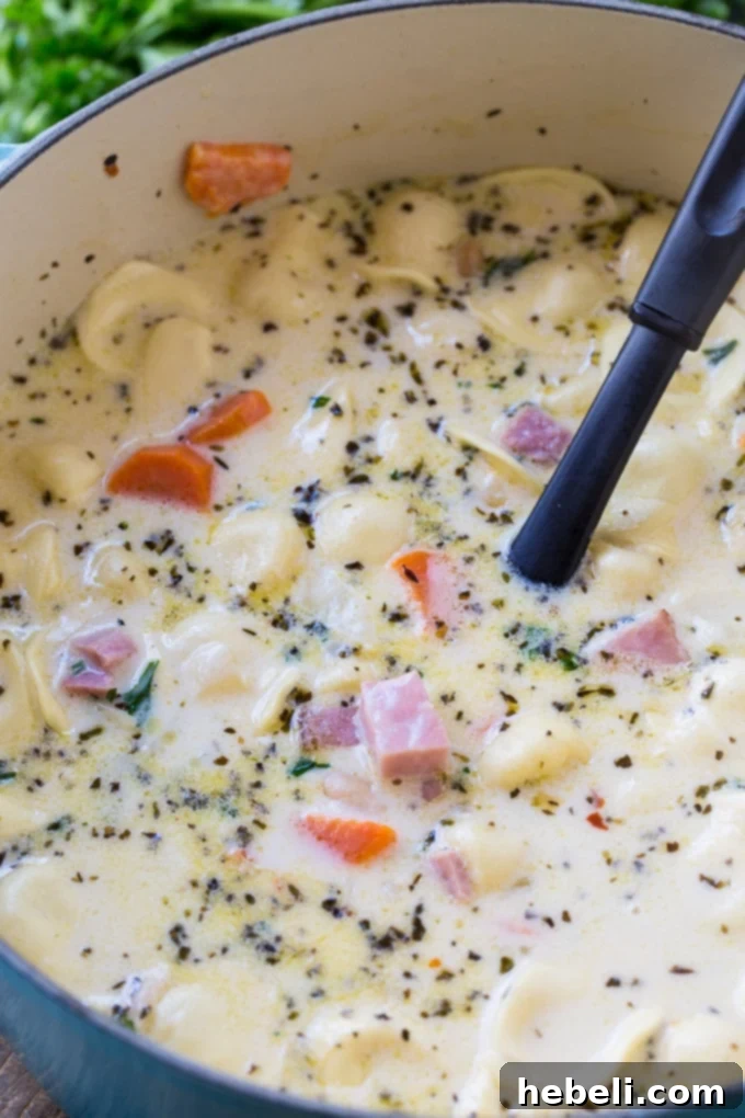 Close-up of Creamy Ham and Tortellini Soup with White Beans, showing tortellini and ham pieces.