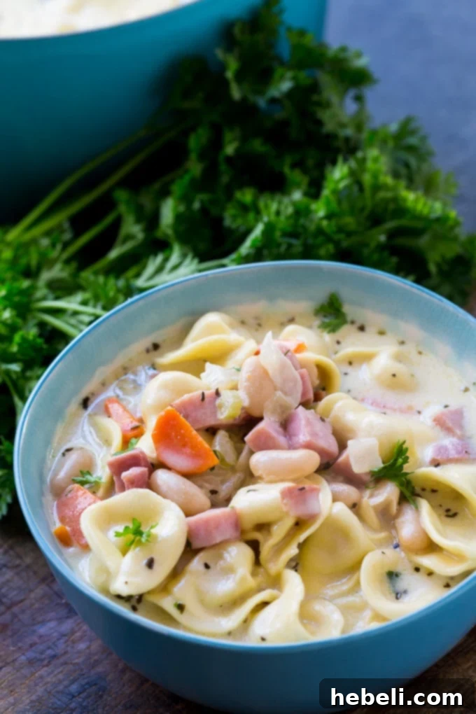 Overhead shot of a bowl of Creamy Ham and Tortellini Soup, ready to be served.