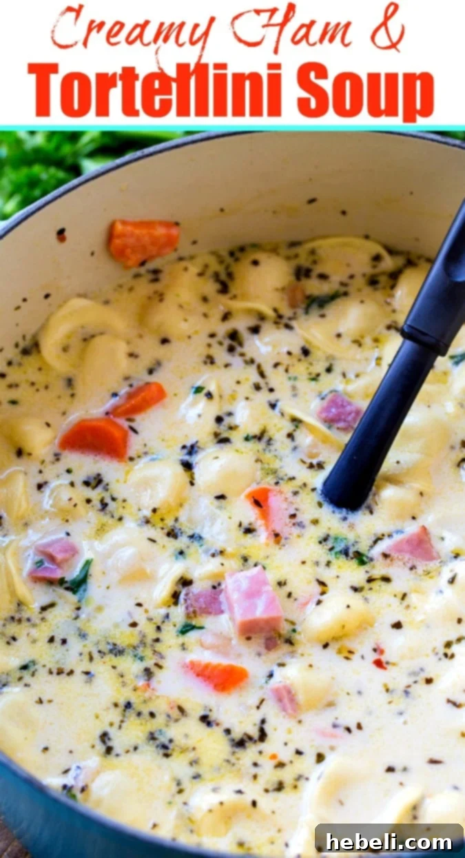 Large pot of Creamy Ham and Tortellini Soup simmering in a Dutch oven.