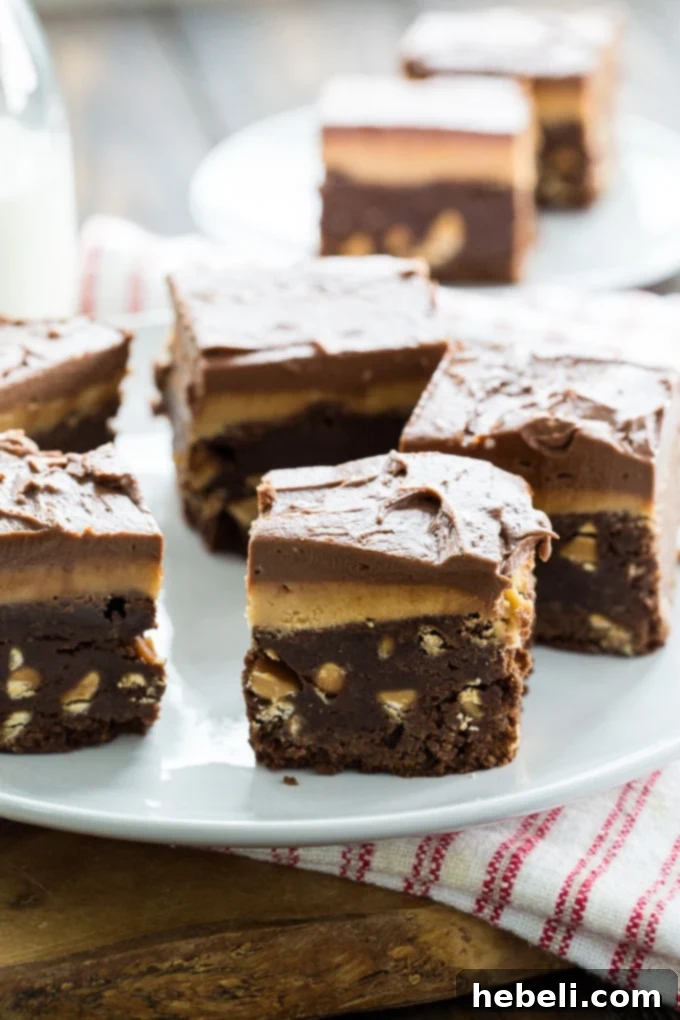 Double Frosted Peanut Butter Brownies, close-up showing peanut butter chips within the brownie texture.