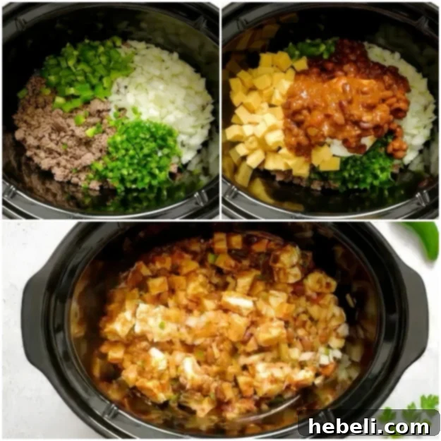 Remaining ingredients added to slow cooker