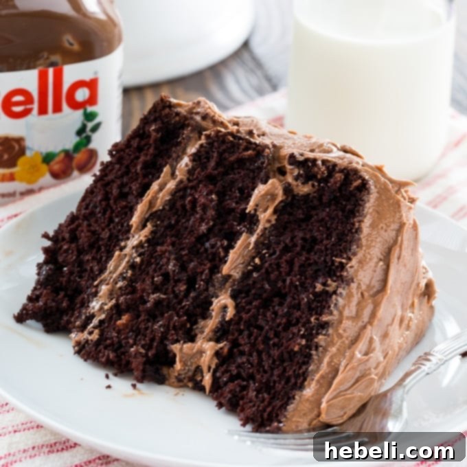 Decadent Nutella Chocolate Cake 2 Decadent Nutella Chocolate Layer Cake with rich frosting