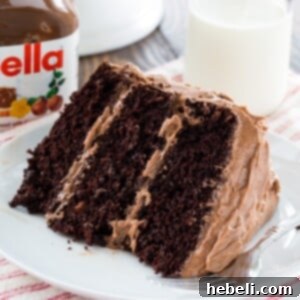 Nutella Chocolate Cake recipe image
