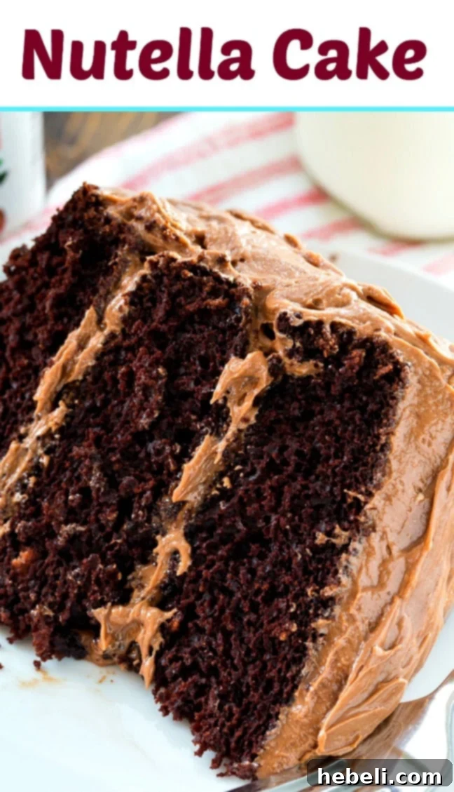 Decadent Nutella Chocolate Cake 6 Slice of Nutella Chocolate Layer Cake showing layers and filling