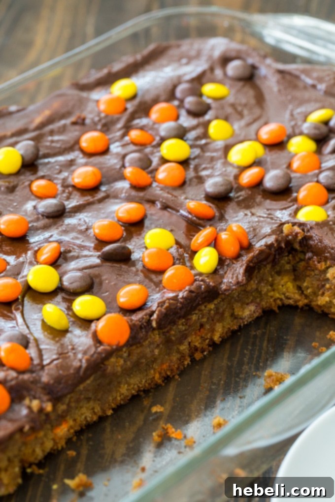 Reese's Pieces Peanut Butter Bars, a close-up